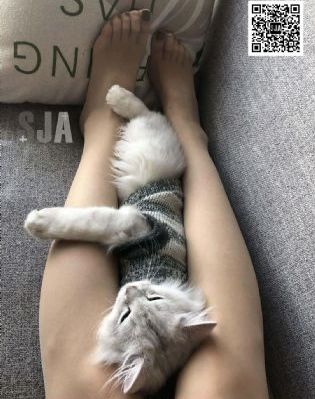 小和尚把蔭蒂添的好舒視頻_劇情片全集免費觀看